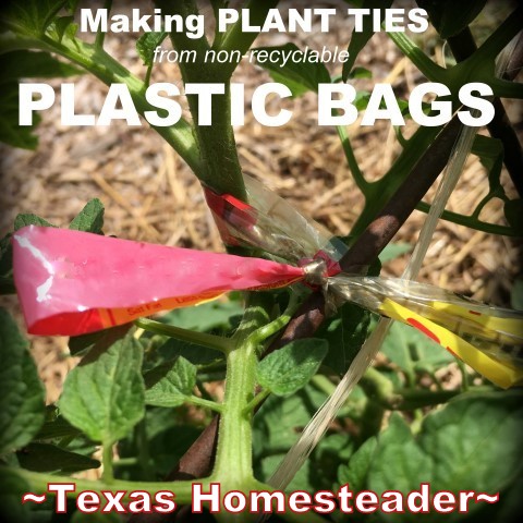 Plant ties using repurposed plastic bags. Come with me for a day on the Homestead. The changing seasons are welcome, but not without their trials. #TexasHomesteader