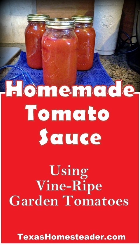 Homemade tomato sauce made from fresh ripe garden tomatoes. #TexasHomesteader