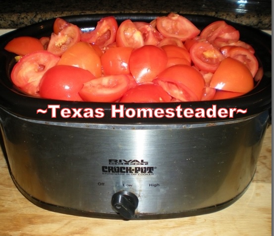 I found a great deal on fresh tomatoes & decided I would make them into tomato sauce, something I use quite a bit in my kitchen. EASY! #TexasHomesteader