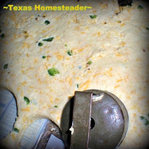 My homemade jalapeno cheese biscuits are moist, tender and zesty. #TexasHomesteader