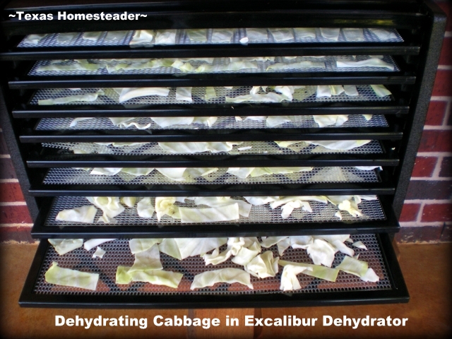 Dehydrating cabbage in a 9-tray Excalibur dehydrator is easy and preserves that fresh cabbage to use months later. #TexasHomesteader