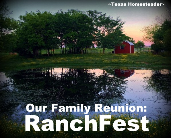 It's So Much More Fun Having A Family Reunion COUNTRY STYLE! Games, food, hayride, etc. Check out our fun, country gathering. #TexasHomesteader