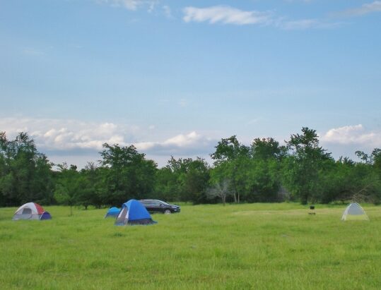 Tents on green grass with blue sky and green trees in the background. TexasHomesteader