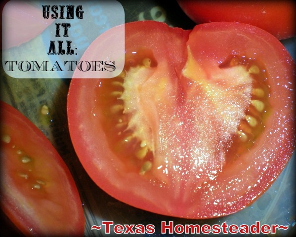 Instead of throwing away tomato skins, dehydrate & ground them into powder to use to thicken soups or make your own tomato paste. #TexasHomesteader