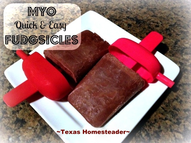 Quick And Easy Healthier FUDGESICLES! See this recipe for making your own inexpensive yet healthier version of a cold, delicious fudgesicle. #TexasHomesteader