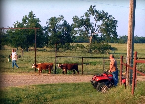 Good neighbors come to your aid in times of need. Read what happened when we experienced Failed Fences But GOOD NEIGHBORS! #TexasHomesteader