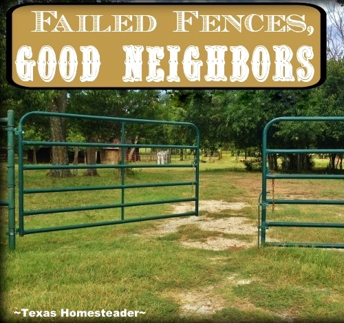 Good neighbors come to your aid in times of need. Read what happened when we experienced Failed Fences But GOOD NEIGHBORS! #TexasHomesteader