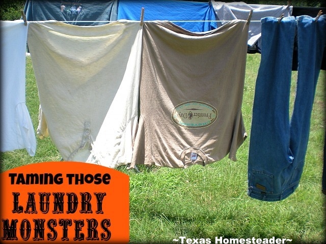 Taming The Laundry Monsters - blood. #TexasHomesteader