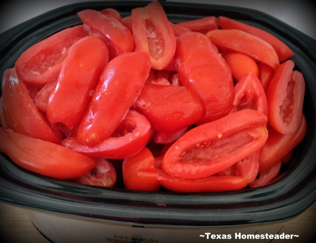 Make tomato leather to use for homemade pizzas - just roll it out & start adding toppings!. I decided to give it a go, come see! #TexasHomesteader
