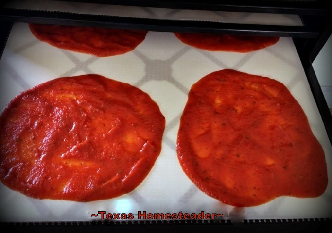 Dehydrated tomato leather. Little time for a homemade pizza & no money to order out? Check out this delicious option - A quick tortilla pizza. #TexasHomesteader