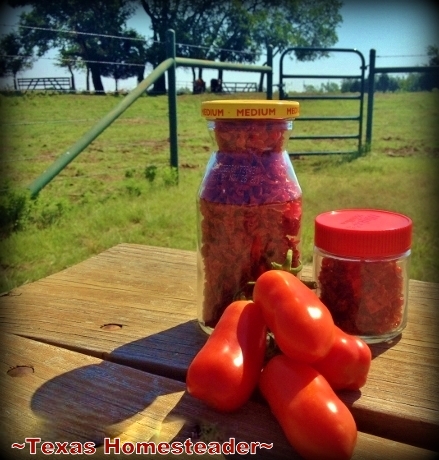 I used some dehydrated diced garden tomatoes in my dry salsa mix. #TexasHomesteader