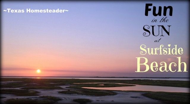 What a fun week we had at Surfside Beach in south Texas. We rented a beach house & enjoyed the beach too. Come see what fun we had! #TexasHomesteader