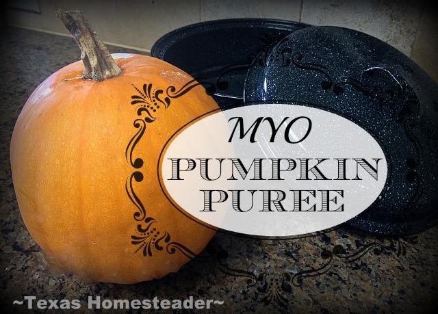 I'm cooking up my heirloom Sugar Pie Pumpkin from the garden today for that delicious pumpkin puree I crave. Come see how easy it is! #TexasHomesteader