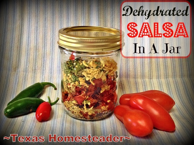 I mixed up a batch of dehydrated salsa using dehydrated veggies from my garden & my own dry salsa mix. Just pour in hot water & stir! #TexasHomesteader