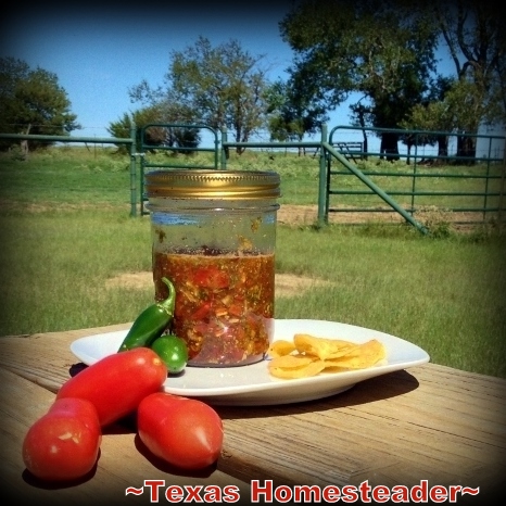 I mixed up a batch of dehydrated salsa using dehydrated veggies from my garden & my own dry salsa mix. Just pour in hot water & stir! #TexasHomesteader