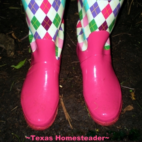 As a breast cancer survivor, I wear lots of pink. But sometimes wonder, do I go too far with all my pinkness? #TexasHomesteader