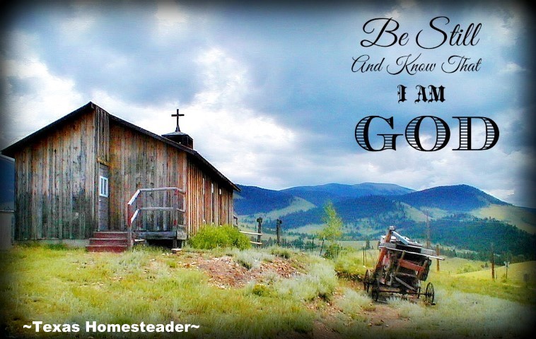 Be Sill And Know That I Am GOD. #TexasHomesteader