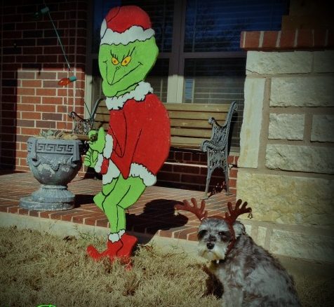 Green Grinch stealing Christmas lights, small mini-Schnauzer with reindeer ears sitting beside. #TexasHomesteader