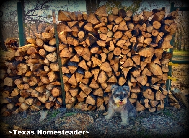 Wordless Wednesday: Cold weather's coming, wood is stacked & ready! #TexasHomesteader