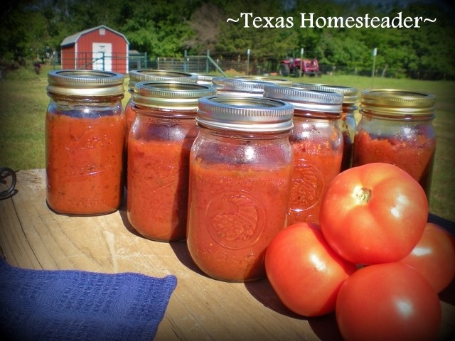 Fresh homemade tomato sauce from fresh tomatoes can be turned into pasta sauce with a few seasonings. #TexasHomesteader