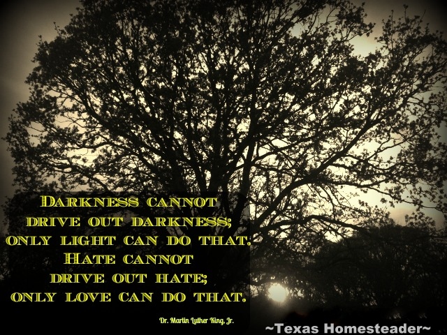 Let there be peace on earth, and let it begin with ME! Our nation needs healing now, we all have a responsibility to help. #TexasHomesteader