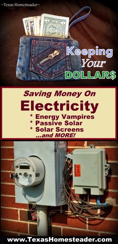 Saving Electricity Can Save Money. There are many ways to reduce your electricity waste to save money in your budget #TexasHomesteader