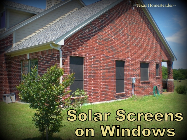 Solar screens on sunny windows can significantly reduce heat coming into your home. #TexasHomesteader