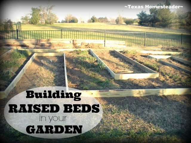 Building Raised Beds. My old raised beds were in need of replacement and I wanted a more efficient design. See how we constructed our raised beds. #TexasHomesteader