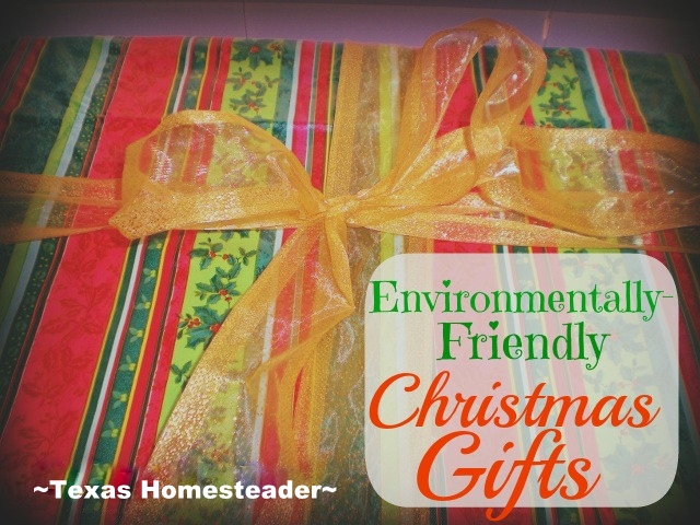 Can you really give environmentally-friendly gifts that they'll actually love? As it turns out, yes! See my low-waste options. #TexasHomesteader