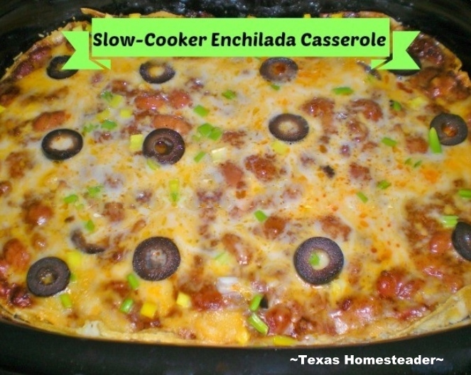 By using food I'd already prepared this enchilada casserole was inexpensive and environmentally friendly as well. Check out my easy recipe #TexasHomesteader