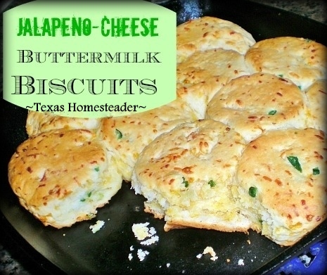 My Jalapeno-Cheese Biscuit recipe makes soft, moist and lightly spicy biscuits - just the way we like it! #TexasHomesteader