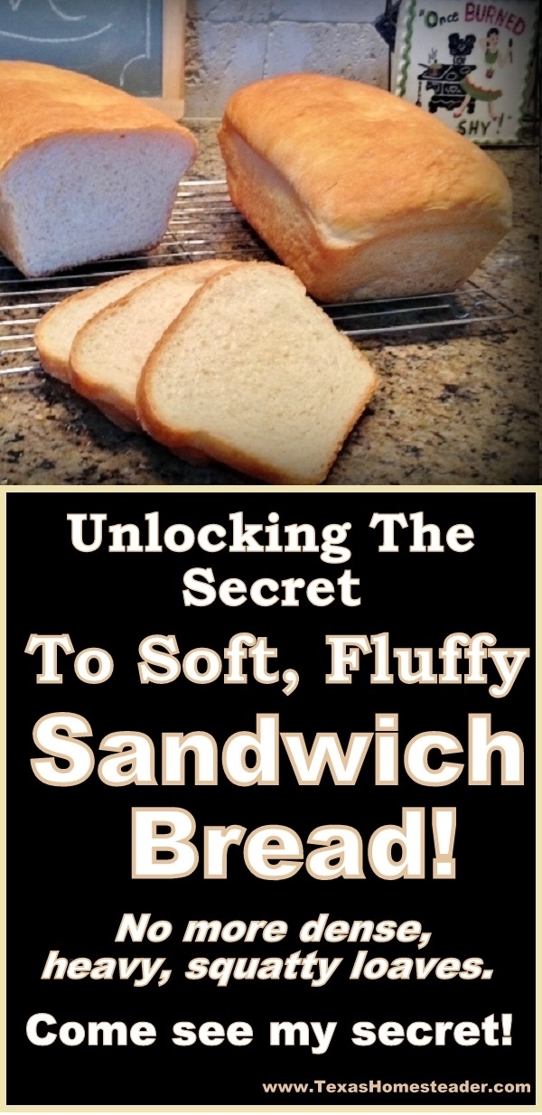 Unlocking the secret to soft, fluffy homemade bread. No more dense, heavy loaves. Come see my secret. #TexasHomesteader