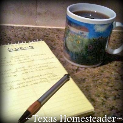 New Year's resolutions are instead New Year's Goals. Come see the difference. #TexasHomesteader