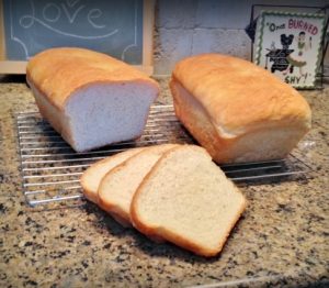 SOLAR OVEN BREAD: Making Bread OUTSIDE! I use my solar oven to bake my bread using the power of the sun - gotta love it! #TexasHomesteader