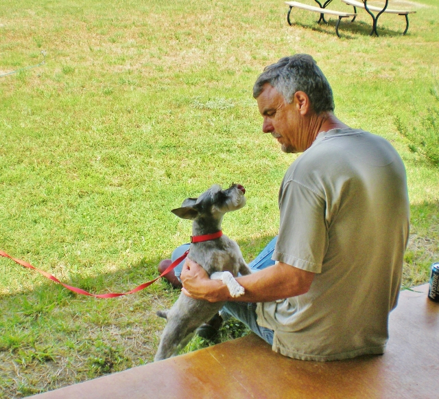 RancherMan petting mini Schnauzer Bailey. #TexasHomesteader