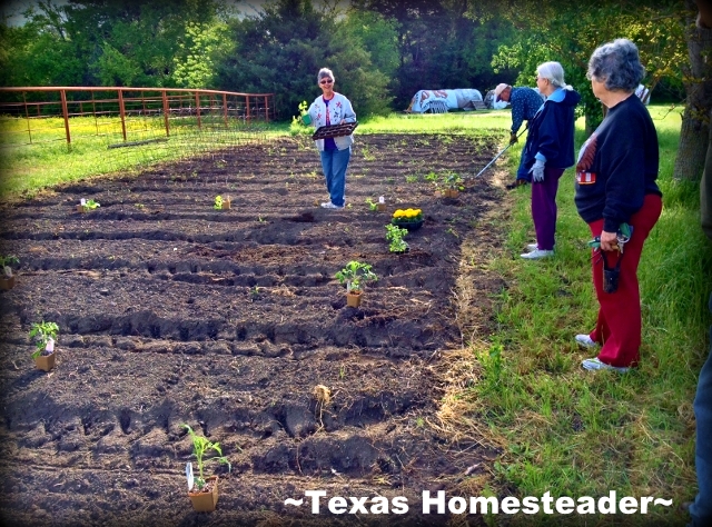 Paying it forward In Real Life. Many People want to Pay It Forward but don't know what to do. There are many day-to-day opportunities in REAL LIFE to do something great! #TexasHomesteader