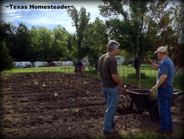 Do you know what it feels like to be hugged by God? Recently I experienced the unmistakable touch of God through the love of others. #TexasHomesteader