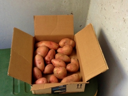 I cut, oiled, seasoned and roasted potatoes for a covered-dish luncheon. Everyone loved them! #TexasHomesteader