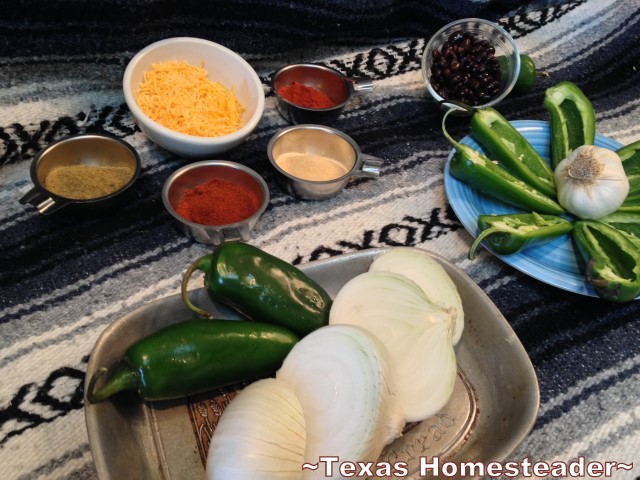 Combination Jalapeno Popper / Egg Roll made with a savory filling of black beans and spices along with onions, garlic, cheese, etc. #TexasHomesteader