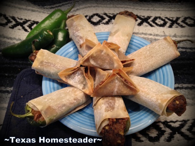Combination Jalapeno Popper / Egg Roll made with a savory filling of black beans and spices along with onions, garlic, cheese, etc. #TexasHomesteader