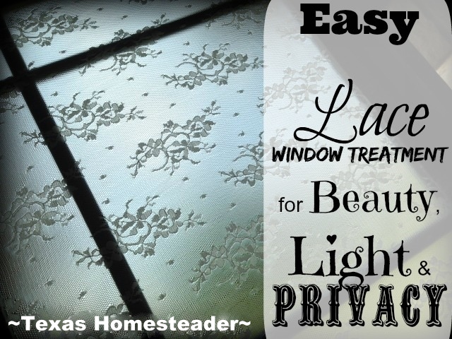 No curtains in the bathroom, I used lace applied directly to window glass for privacy. #TexasHomesteader