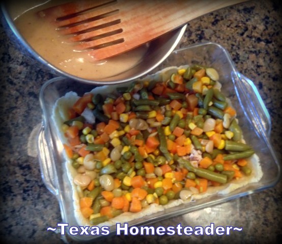 Chicken Pot Pie from scratch using leftover Chicken. I Made The Pie Crusts & Cream Of Chicken Soup From Scratch Too. Easy & DELICIOUS! #TexasHomesteader