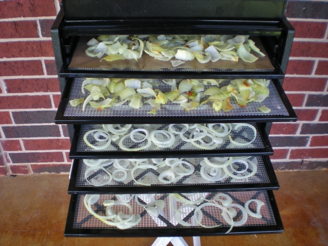 Dehydrating onions in Excalibur dehydrator. #TexasHomesteader