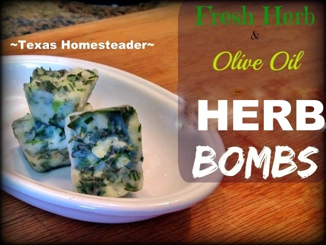 Fresh herbs minced and frozen in ice cube trays with olive oil. #TexasHomesteader