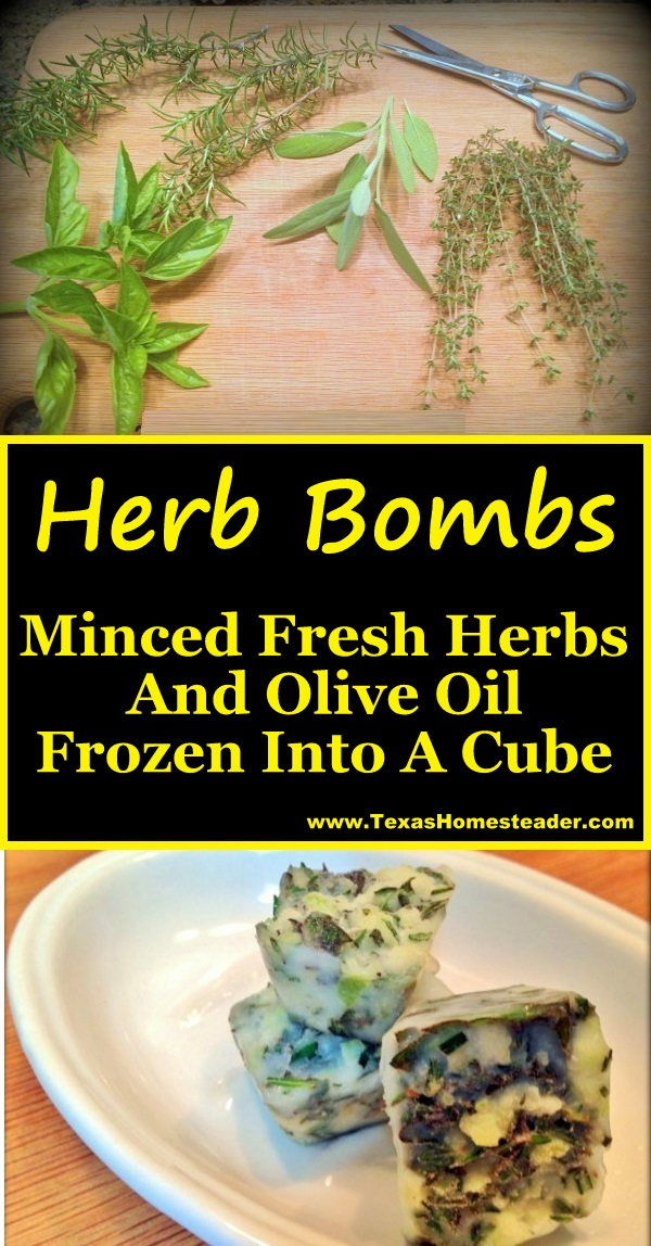 'HERB BOMBS' made from minced herbs and olive oil makes it easy to have your own convenient flavoring right in your own freezer! #TexasHomesteader