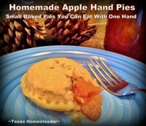 A flaky homemade piecrust filled with apple pie filling and baked into individual apple hand pies. #TexasHomesteader