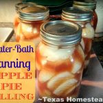 My aunt shared bushes of apples from her tree, so I sat out to preserve them. Come see my 5 favorite ways to preserve fresh apples. #TexasHomesteader