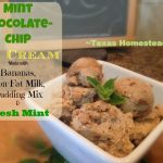 Mint chocolate sweet treat using frozen bananas and instant pudding mix. #TexasHomesteader