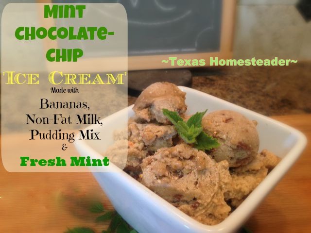 Mint chocolate sweet treat using frozen bananas and instant pudding mix. #TexasHomesteader