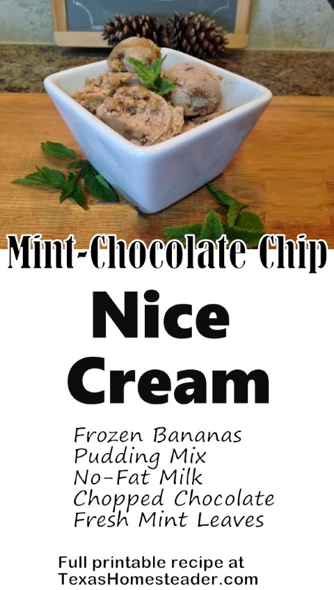 I make Mint Chocolate Chip 'Nice Cream' using frozen bananas, fresh mint, pudding mix, milk and chopped chocolate/nuts candy bar. #TexasHomesteader